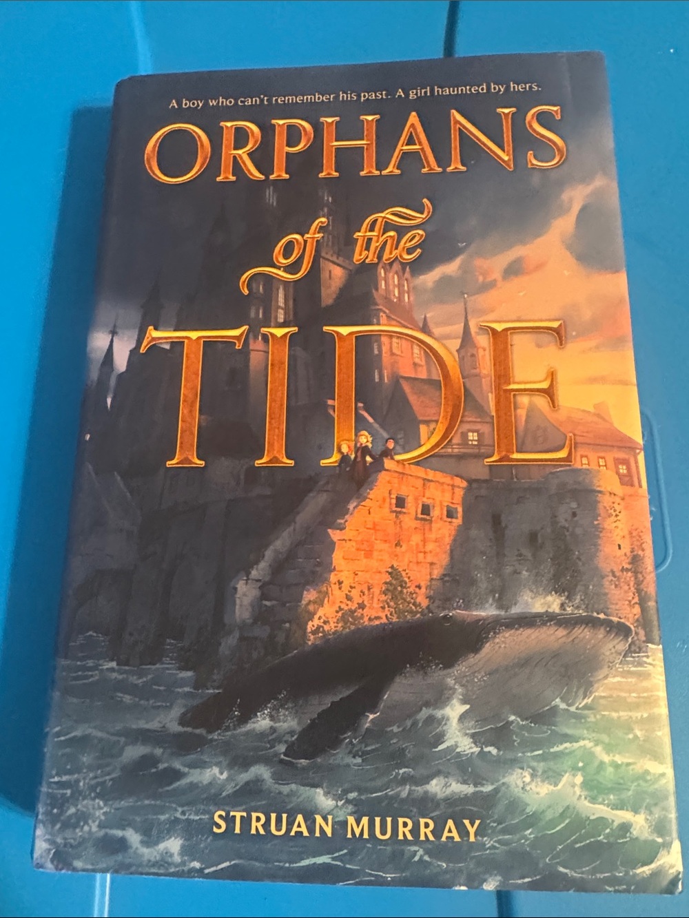 Orphans of the Tide Decorative Book Cover Wall Art - Blue